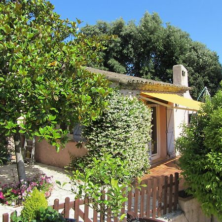 Studio Chez Charles Et Marie, Independant De La Maison, Acces Piscine, Tres Calme, ロックフォール・レ・パン エクステリア 写真